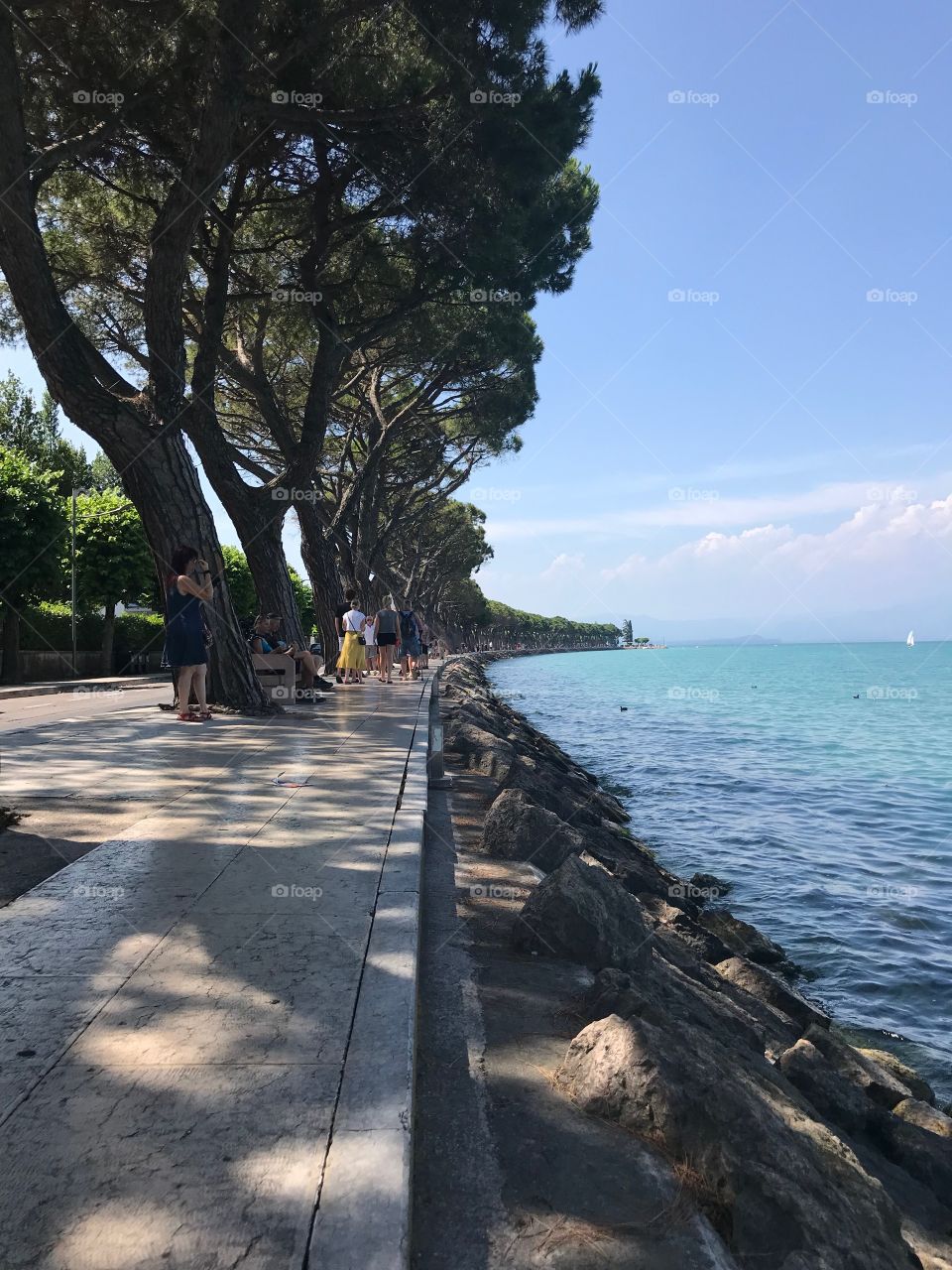 On the lake side many people were walking . There is a row of big trees, some benches. The lake water is blue, the sky is blue and the clouds are white.  The weather is nice, and I am talking with my family