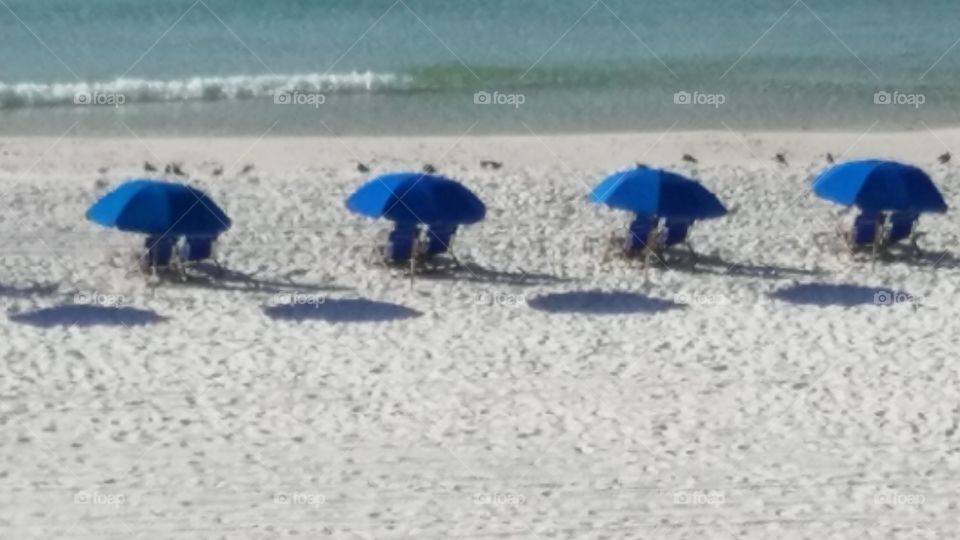 blue chairs with umbrellas
