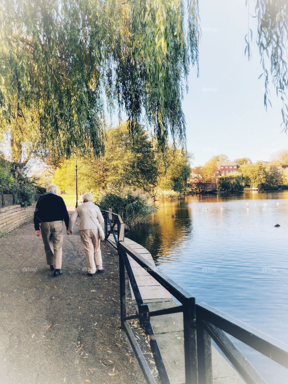 Elderly couple holding hands taking a walk on a beautiful day.