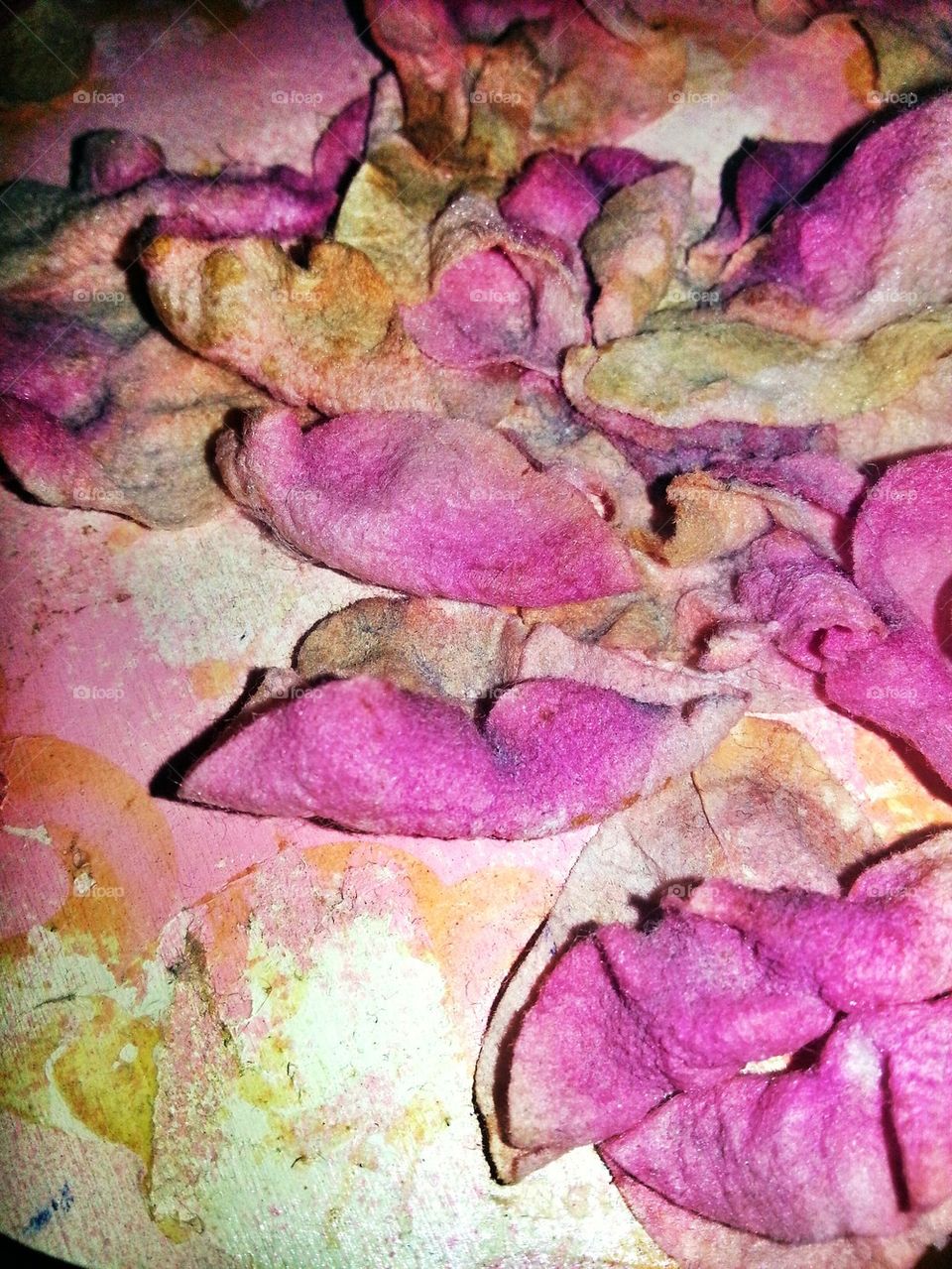 petals