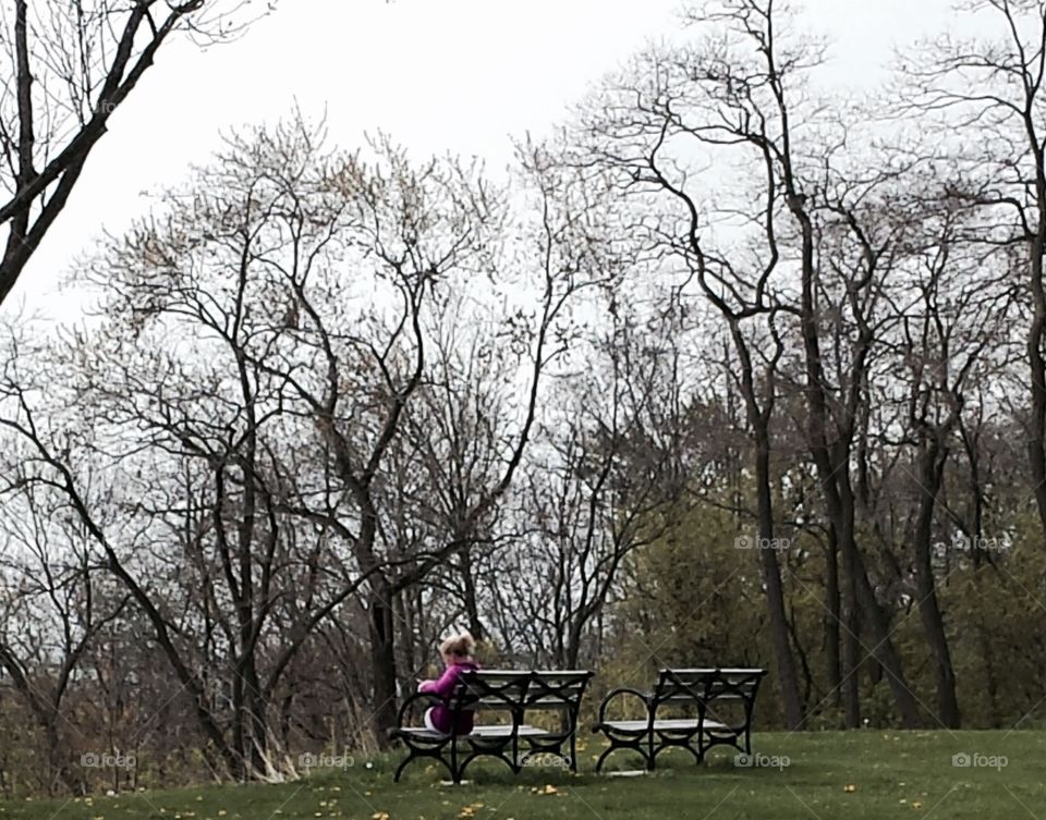 People. Woman Reading on a Bench