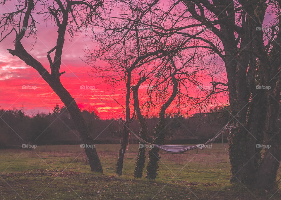 A horrifically, violent sunset is the backdrop for the bare winter trees and a long unused hammock