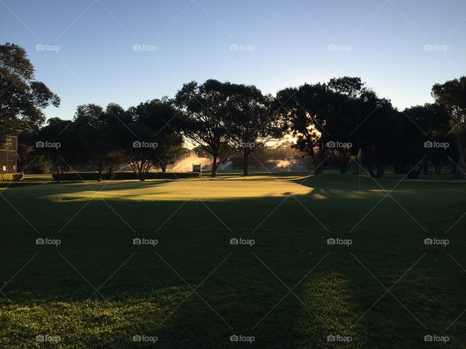 Evening sun on a golf course