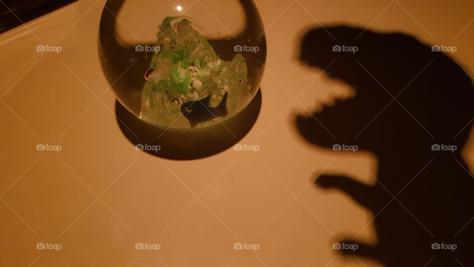 T-rex shadow trying to eat a fish