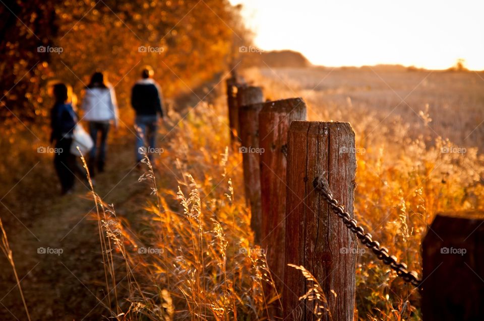 Fall walk in the park