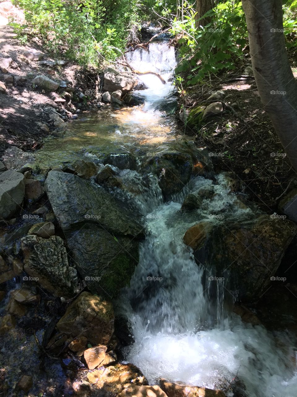 Small stream waterfall 