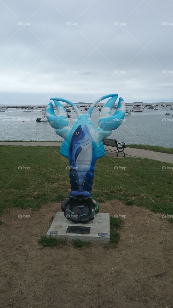 Painted Lobster of Plymouth,  Massachusetts 6
