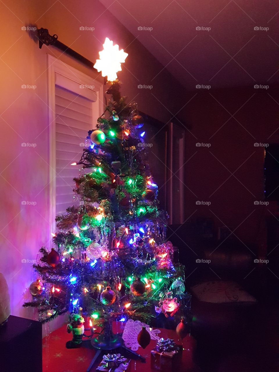 Christmas, Winter, Christmas Tree, Light, Celebration