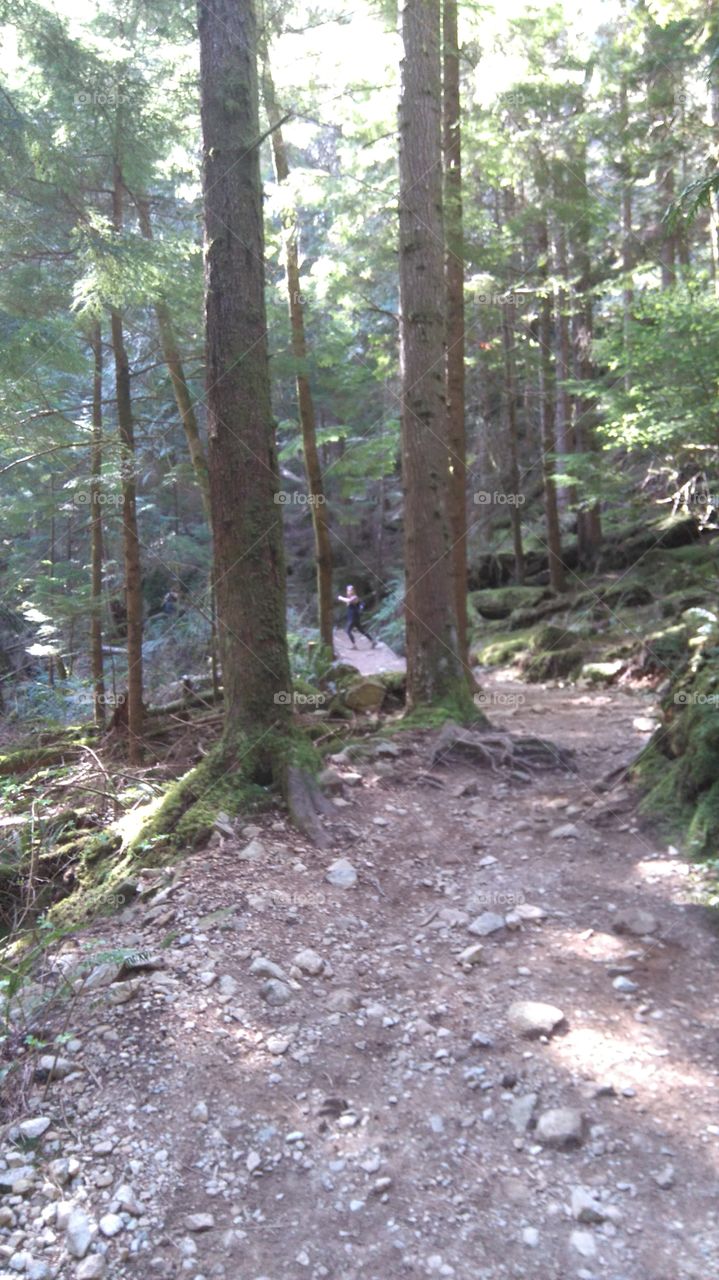 Attempting to locate the Sasquatch @ Buntzen Lake, BC