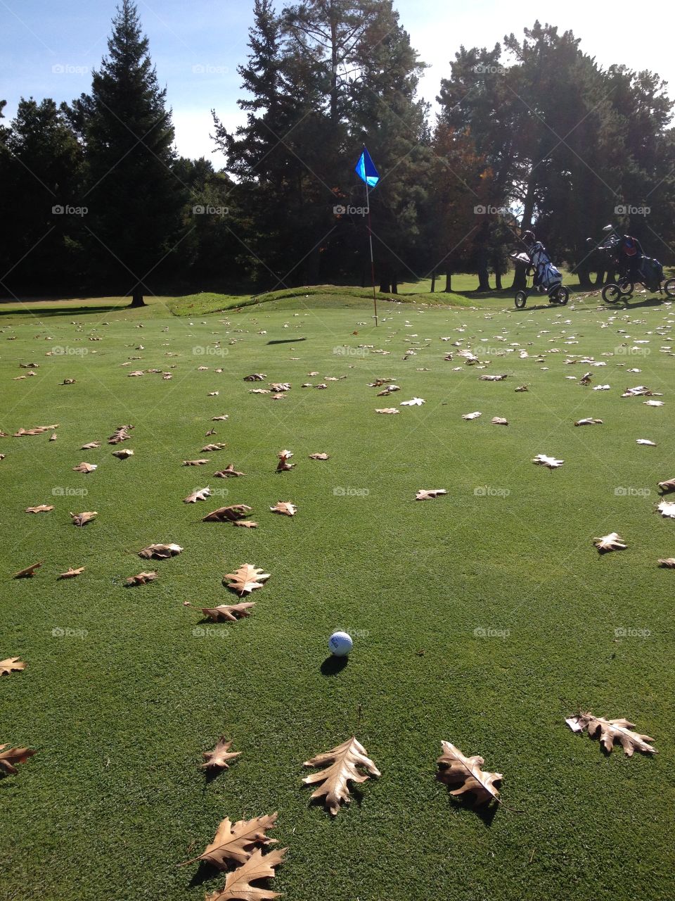 Golfing in the Fall