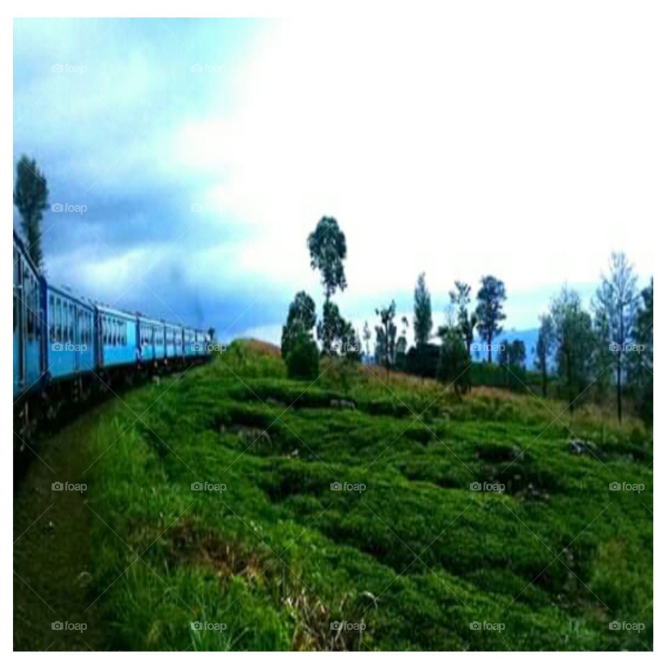 long turn , view the train window