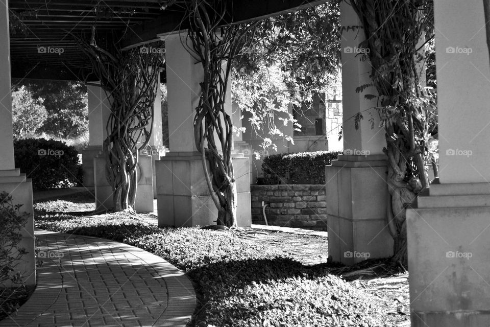 Black and White Path to nowhere