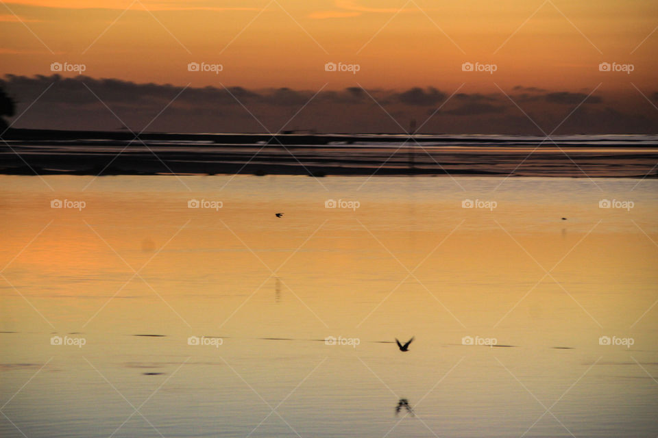 Let the birds free to fly

Please use credits and DM me on Instagram: @adrn_io