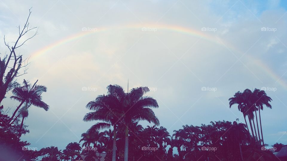 Hawaii Rainbows