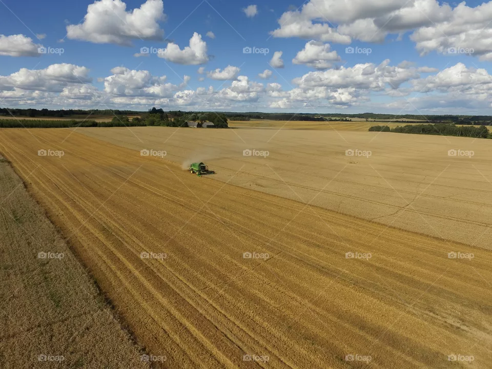 Harvest