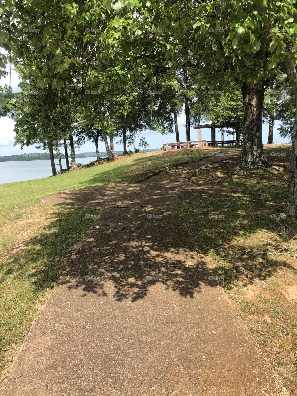 Beautiful lake view in the country, with trees and shadows 