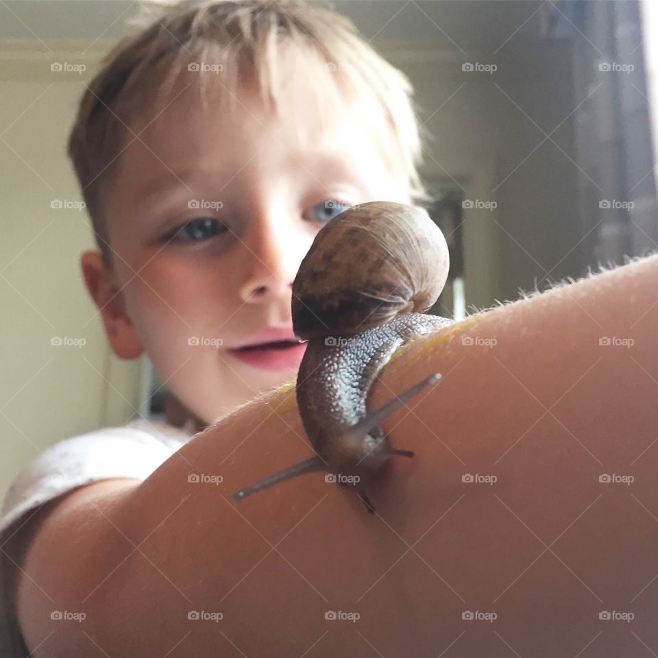 Close-up of a snail on boy's hand
