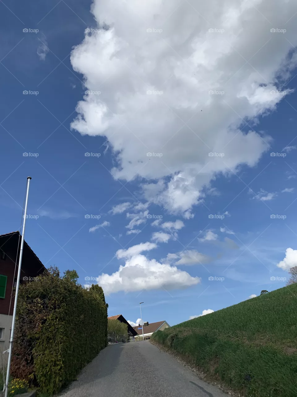 Swiss