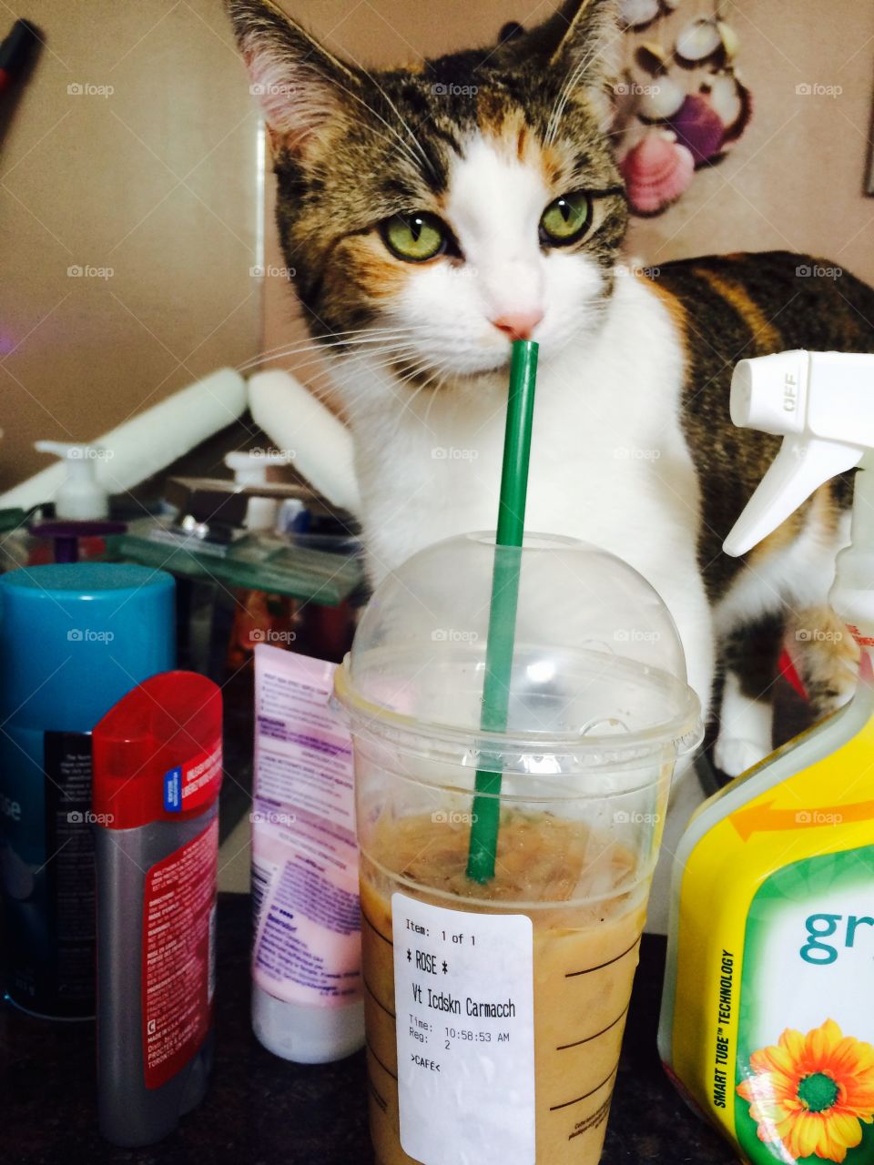 She loves her Starbucks 