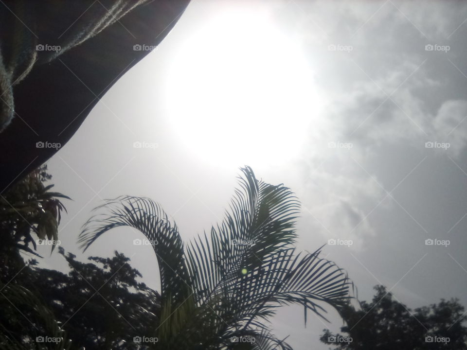 I really appreciate take in  this picture looks great and very pleasant to keep looking at.