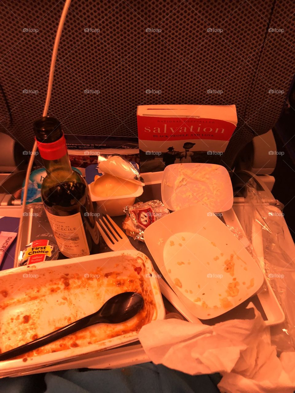 Who Said Airplane Food Wasn’t Good ?