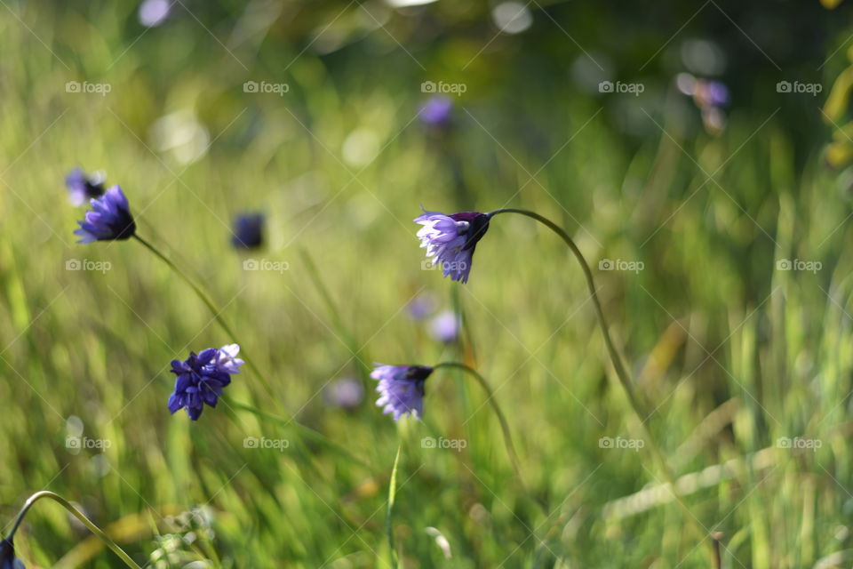 Early signs of spring