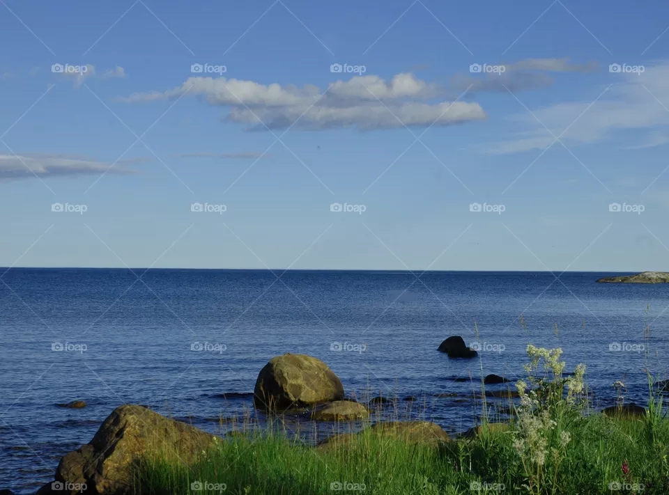 sea stone