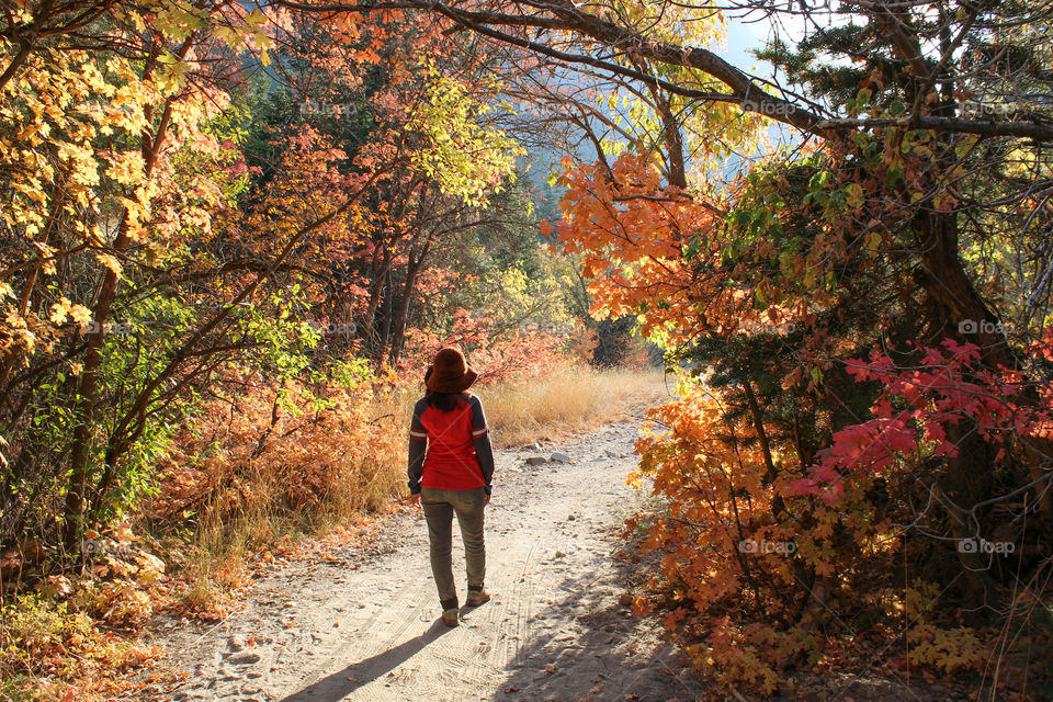 Fall colors 