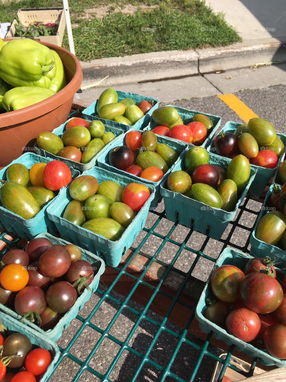 tomato farm market