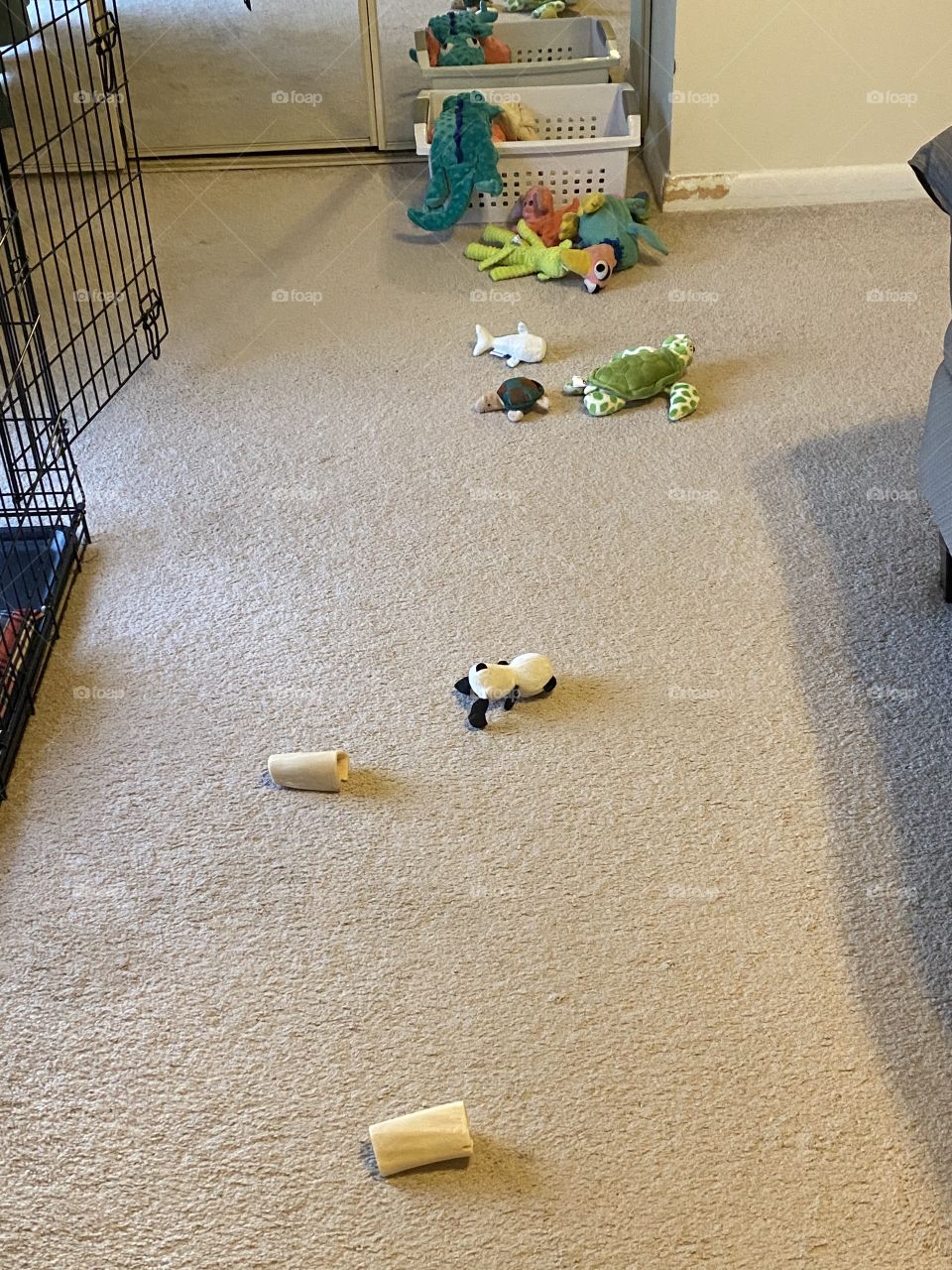 A line of dog toys lines a bedroom next to a dog crate.