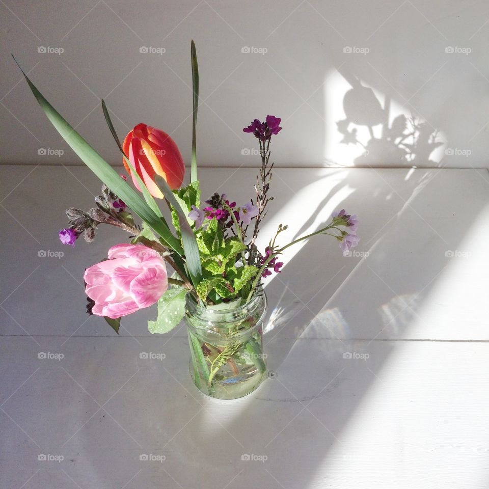 Flower, Vase, No Person, Bouquet, Nature