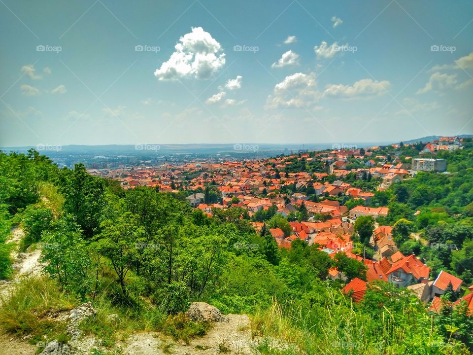 landscape in hungary