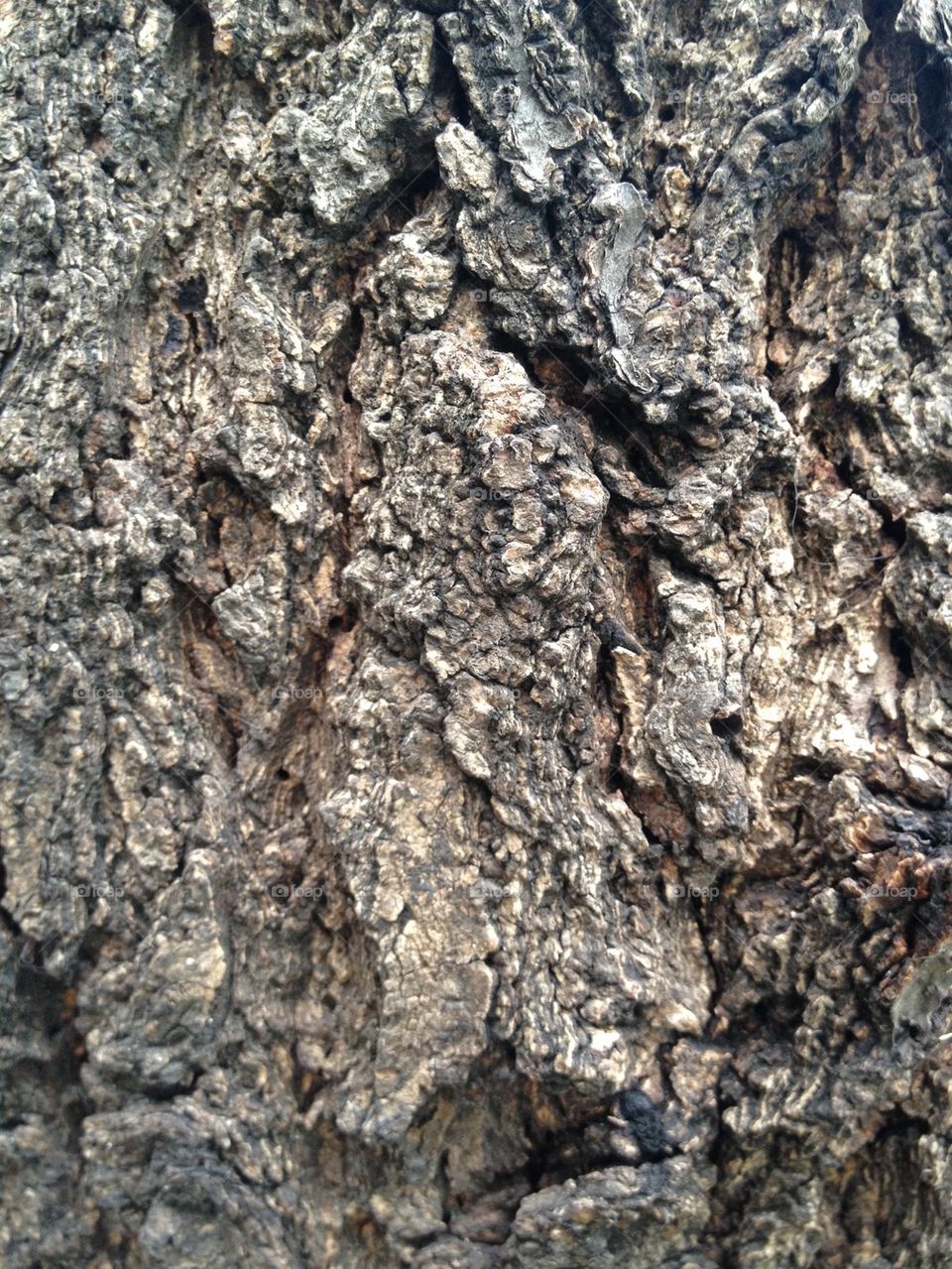 Texture tree