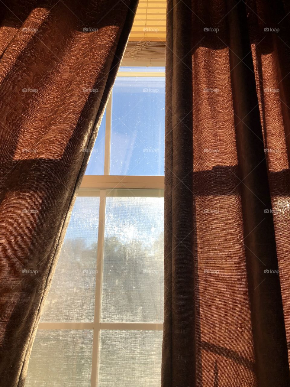 It’s a nice sunny day. Looking out from a curtain