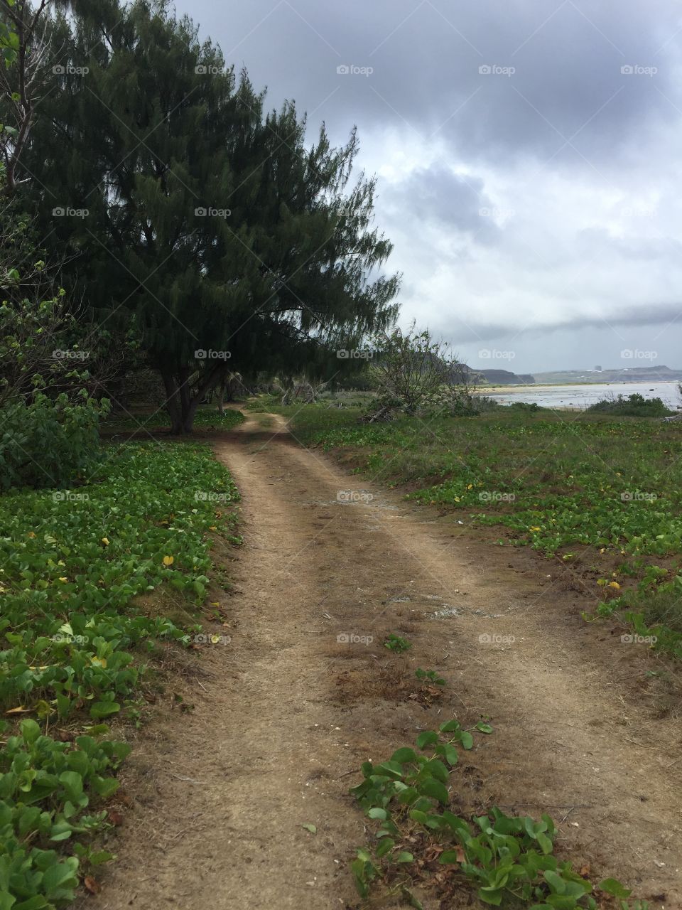 Dirt hiking path along the Quam coast