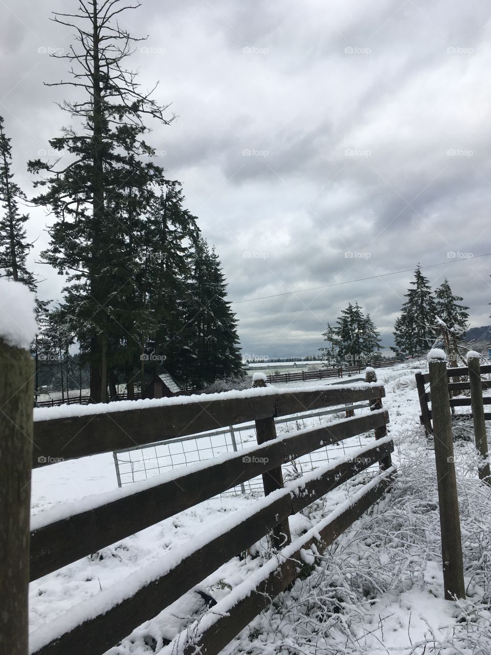 Winter farm