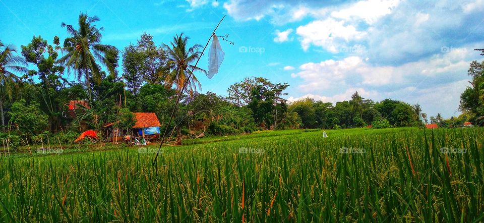 The good life is a life inspired by love and guided by science