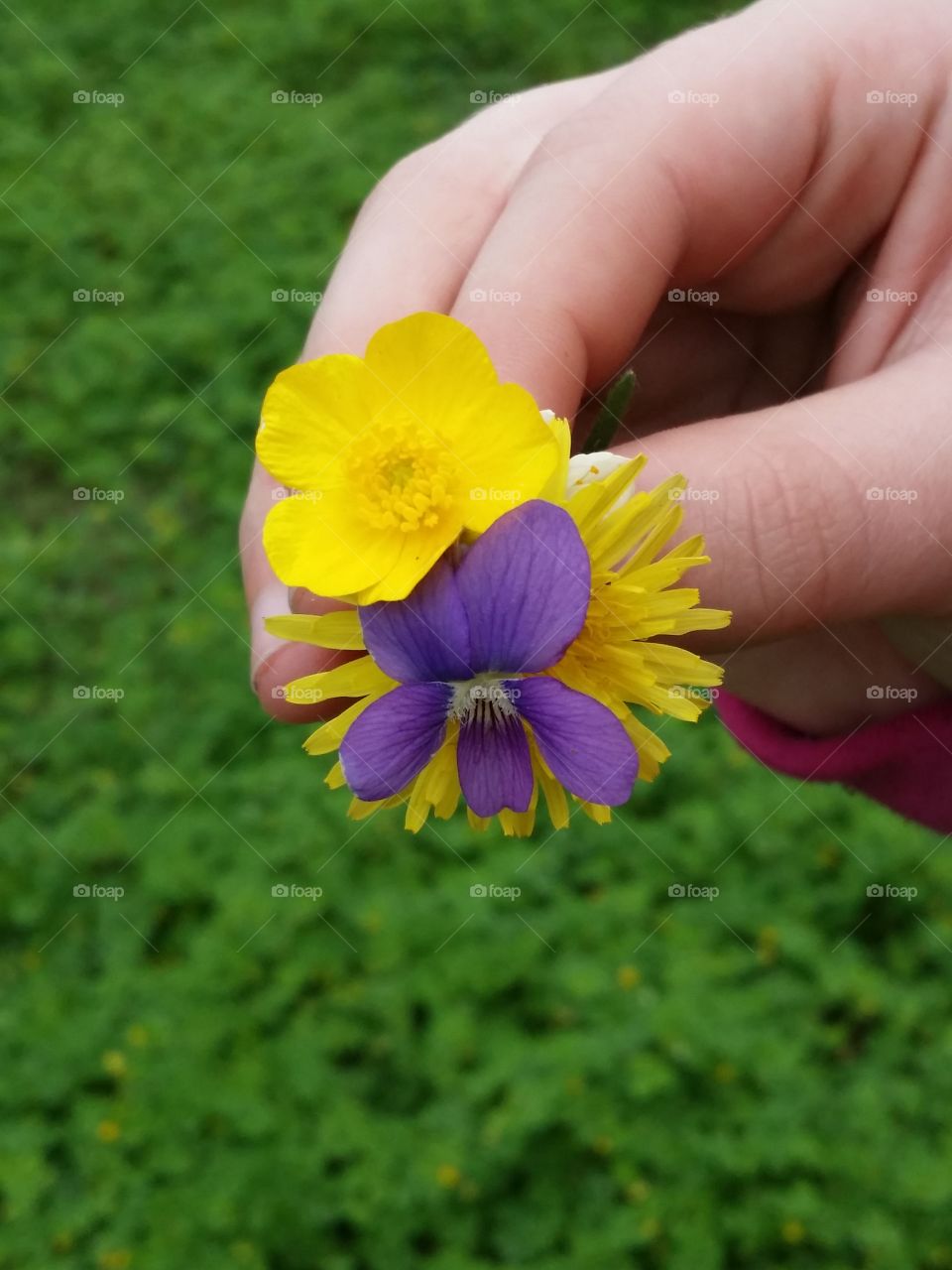 Picking Springtime Wildflowers at the park. Tiny bouquet 