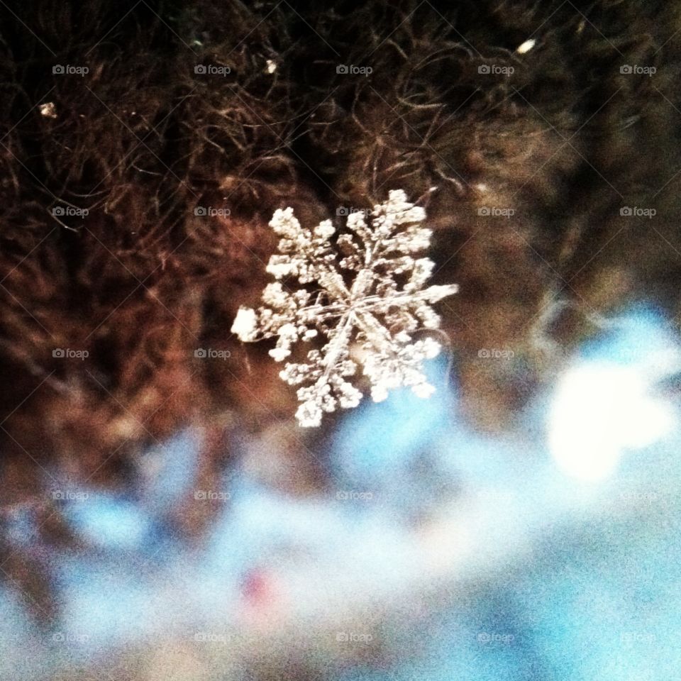 Snow flake