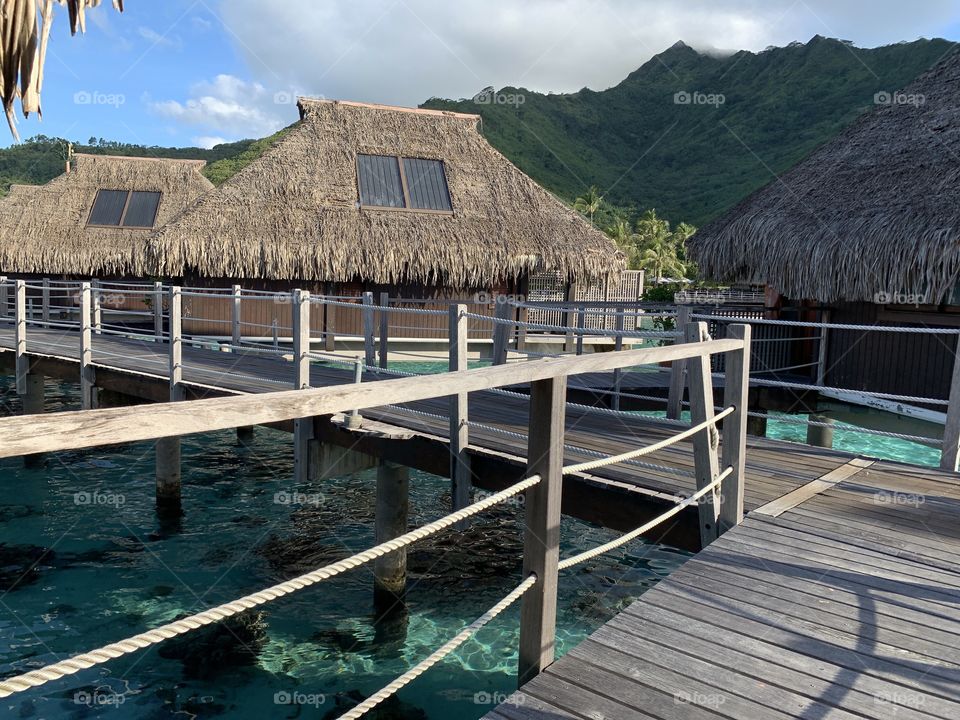 Paradise in Mo’orea, French Polynesia