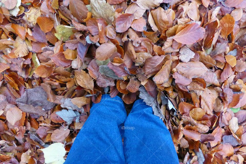 Standing in a pile of leaves