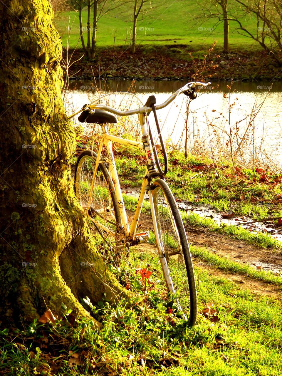 riding on the country