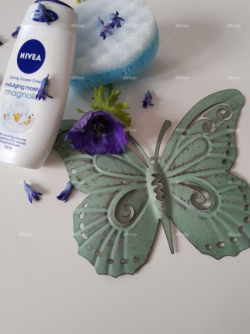 spring
butterfly
Blue
flower
nivea