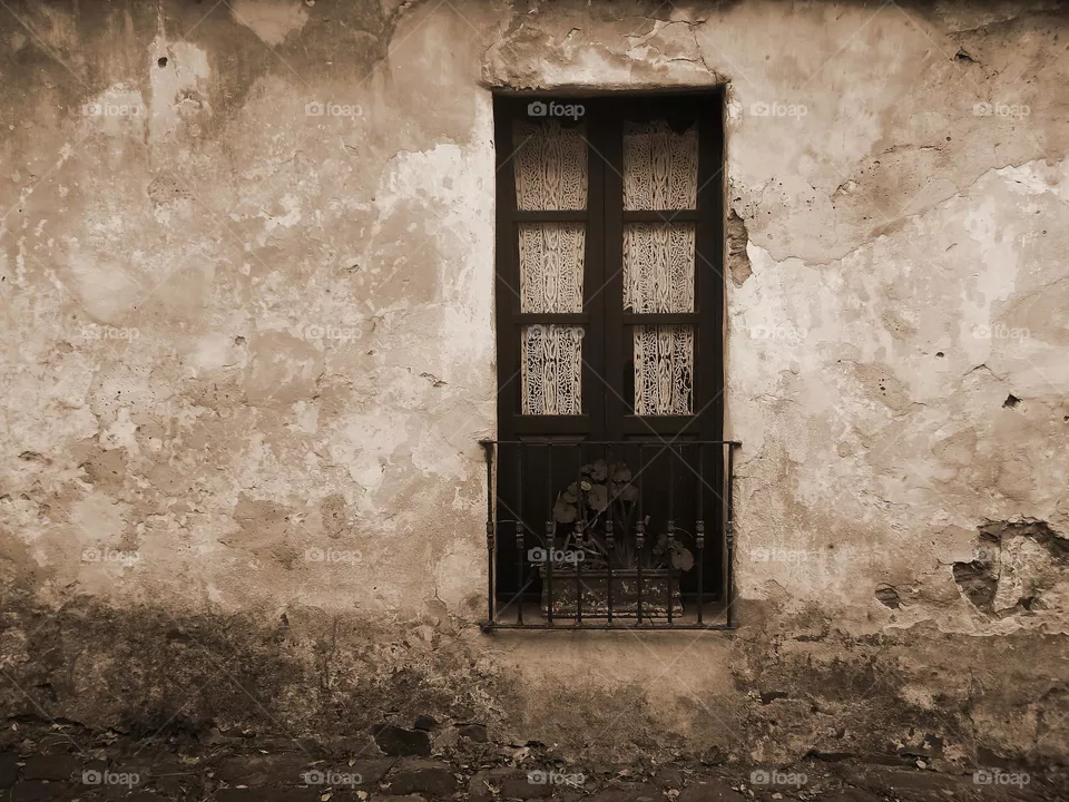 Window