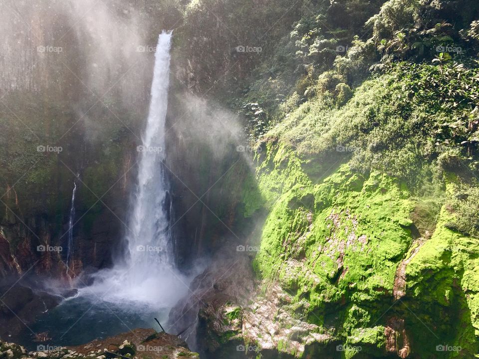 Del Toro Waterfall, Bajos del Toro, Costa Rica 