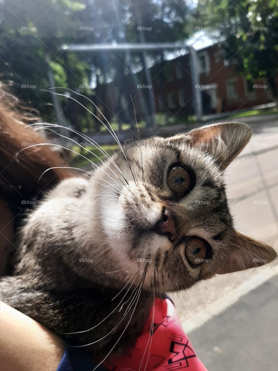 Ну  я   же   красавица?