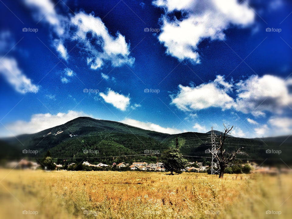 landscape sky field summer by penguincody