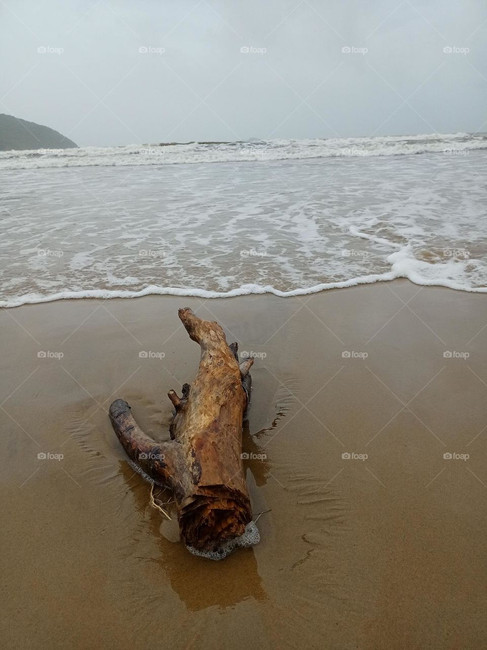 wooden piece in beach Whait colour waves beautiful nature