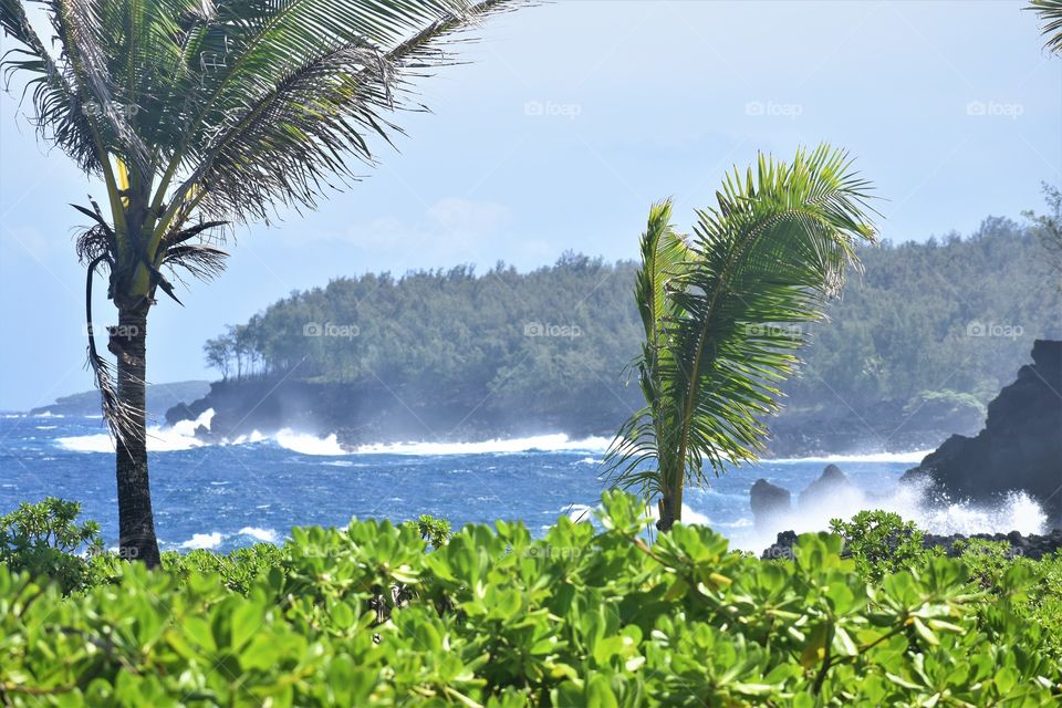 Breezy, sunny and beautiful day on the ocean