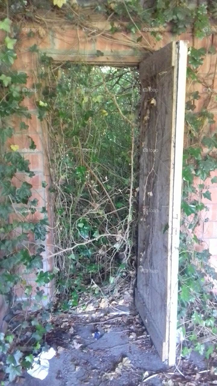 Ghost town , empty street , tags on Wallis , dilapidated, ruin , isolanted, broken , deserted, thrill, leaf tree , abandoned, urbex